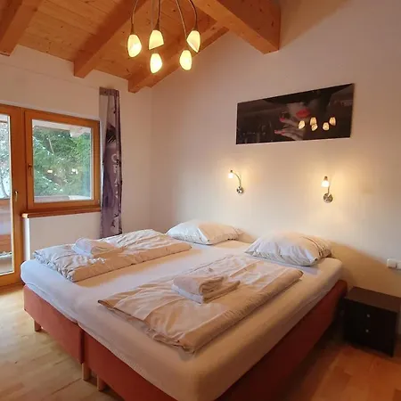 Apartament Haus Carina Kirchberg in Tirol