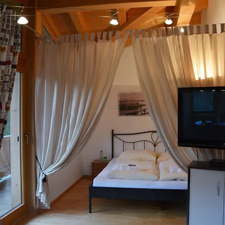 Haus Carina Apartman Kirchberg in Tirol